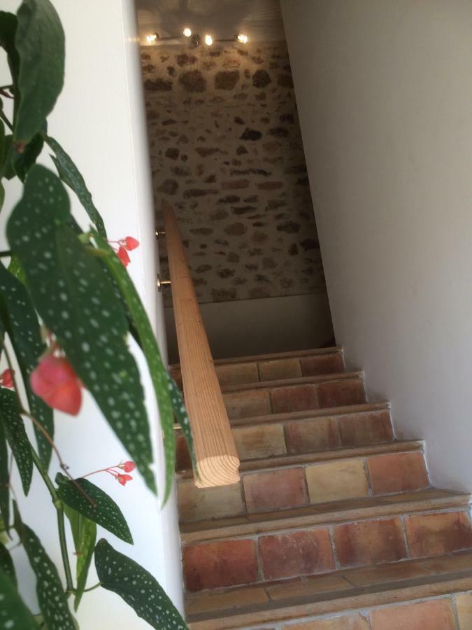 Apartament Domaine De Camp Joyeux Puget-Ville Zewnętrze zdjęcie