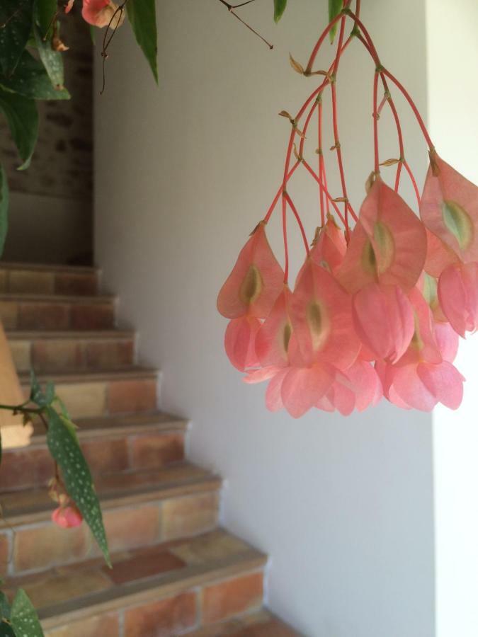 Apartament Domaine De Camp Joyeux Puget-Ville Zewnętrze zdjęcie