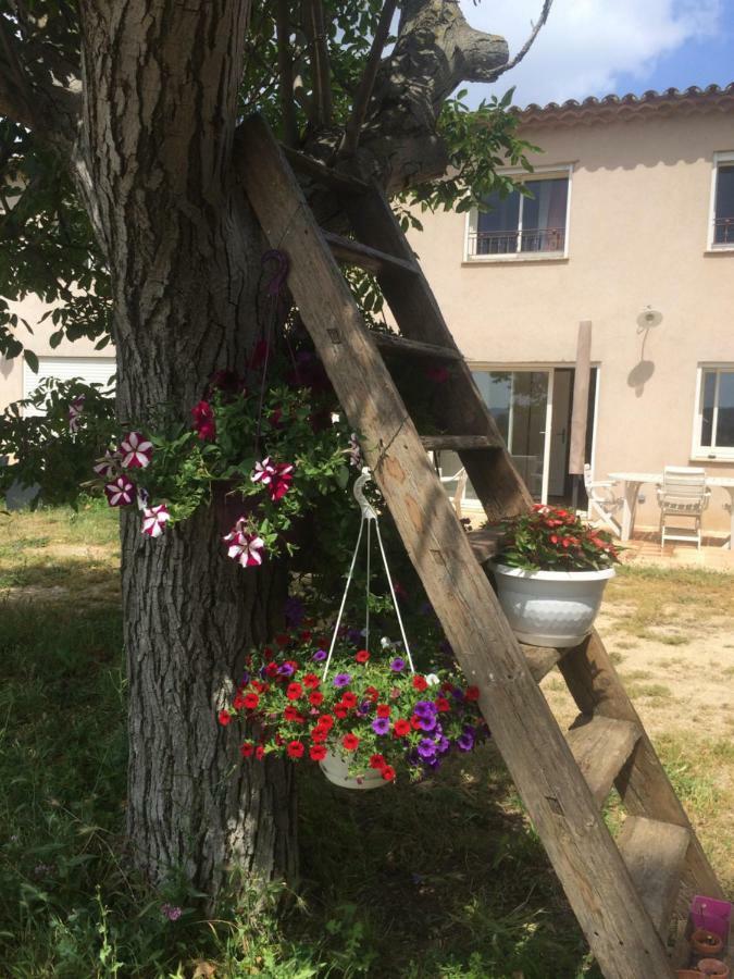 Apartament Domaine De Camp Joyeux Puget-Ville Zewnętrze zdjęcie