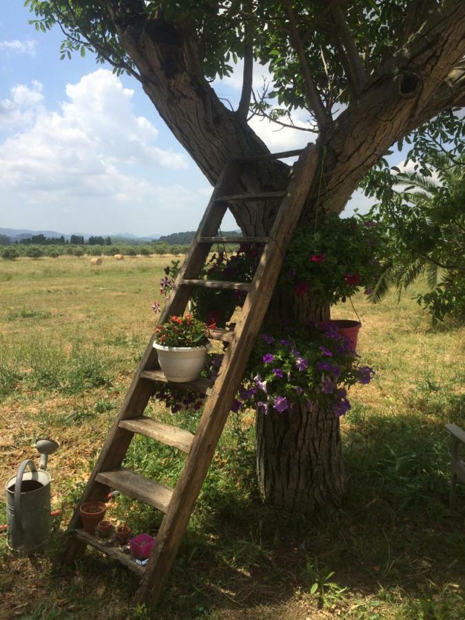 Apartament Domaine De Camp Joyeux Puget-Ville Zewnętrze zdjęcie